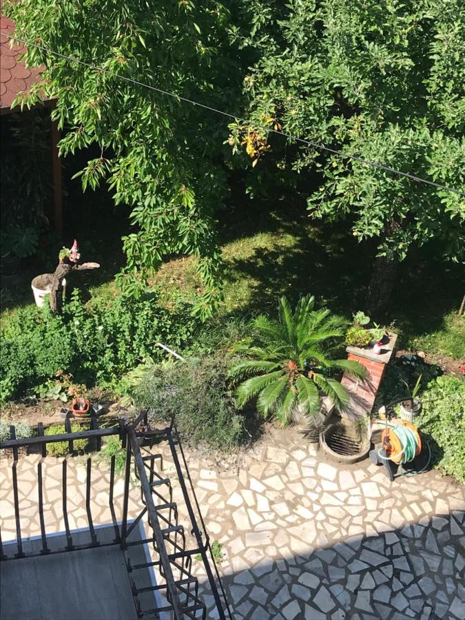 Broj Jedan Apartamento Soko Banja Exterior foto