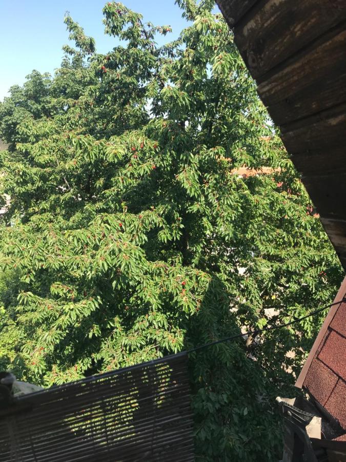 Broj Jedan Apartamento Soko Banja Exterior foto